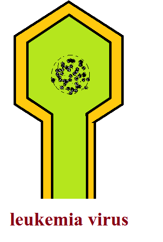 leukemia virus | NCERT SCIENCE IN HINDI