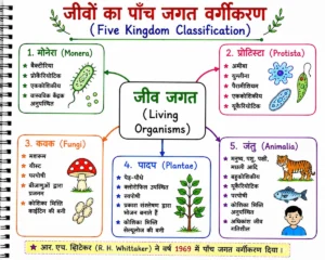 जीव विज्ञान का परिचय
जीवों के पाँच जगत वर्गीकरण (Five Kingdom Classification) का हस्तनिर्मित डायग्राम, जिसमें मोनेरा, प्रोटिस्टा, कवक, पादप तथा जंतु जगत को उनकी प्रमुख विशेषताओं एवं उदाहरणों सहित रंगीन शीर्षकों और बोल्ड लेबल के साथ दर्शाया गया है।