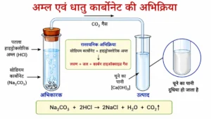 अम्ल, क्षारक एवं लवण कक्षा 10 का NCERT शैली का चित्र, जिसमें सोडियम कार्बोनेट एवं हाइड्रोक्लोरिक अम्ल की अभिक्रिया से कार्बन डाइऑक्साइड गैस बनना तथा चूने के पानी का दूधिया होना दिखाया गया है।
