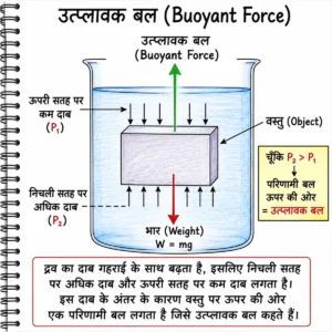 उत्प्लावन एवं घनत्व उत्प्लावक बल (Buoyant Force) का शैक्षिक चित्र, जिसमें पानी से भरे पात्र में डूबी हुई एक वस्तु दिखाई गई है। चित्र में वस्तु पर ऊपर की ओर कार्य करने वाला उत्प्लावक बल (Buoyant Force), नीचे की ओर कार्य करने वाला भार (Weight), ऊपरी सतह पर कम दाब (P₁), निचली सतह पर अधिक दाब (P₂) तथा दाब के अंतर के कारण उत्पन्न परिणामी बल को हिन्दी एवं अंग्रेज़ी लेबल के साथ स्पष्ट रूप से दर्शाया गया है