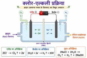 अम्ल, क्षारक एवं लवण कक्षा 10 का आधुनिक NCERT-प्रेरित चित्र, जिसमें ब्राइन के विद्युत अपघटन द्वारा क्लोरीन गैस, हाइड्रोजन गैस एवं सोडियम हाइड्रॉक्साइड के निर्माण को दर्शाया गया है।