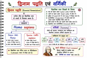 जीव विज्ञान का परिचय
द्विनाम पद्धति (Binomial Nomenclature) एवं वर्गिकी (Taxonomy) का हस्तनिर्मित डायग्राम, जिसमें वैज्ञानिक नाम लिखने के नियम, वंश (Genus) और जाति (Species) का अंतर, वर्गीकरण के प्रमुख स्तर (Kingdom से Species) तथा कार्ल लीनियस के योगदान को सरल एवं स्पष्ट रूप में दर्शाया गया है।