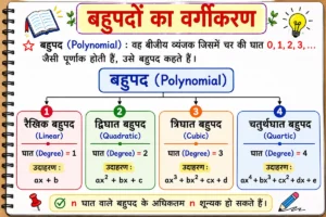 बहुपद (Polynomials) अध्याय का रंगीन वर्गीकरण चित्र, जिसमें रैखिक, द्विघात, त्रिघात और चतुर्थघात बहुपद को उनकी घात (Degree) के आधार पर सरल फ्लोचार्ट के माध्यम से दर्शाया गया है।