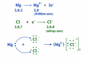 धातु एवं अधातु (Metals and Non-metals) अध्याय का चित्र, जिसमें मैग्नीशियम द्वारा दो इलेक्ट्रॉन त्यागकर दो क्लोरीन परमाणुओं के साथ MgCl₂ बनने की प्रक्रिया दिखाई गई है।