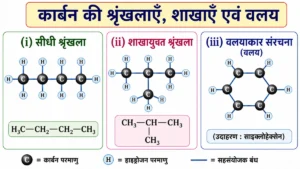 कार्बन एवं उसके यौगिक (Carbon and its Compounds) अध्याय का NCERT शैली तुलनात्मक चित्र, जिसमें कार्बन की सीधी श्रृंखला, शाखायुक्त श्रृंखला तथा वलयाकार संरचना को दर्शाया गया है।