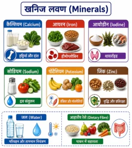 पोषण (Nutrition) में खनिज लवण (Minerals) के प्रमुख कार्यों को दिखाने वाले infographic में कैल्शियम, आयरन, आयोडीन, सोडियम, पोटैशियम और जिंक के कार्य तथा जल और आहारीय रेशे दिखाए गए हैं।