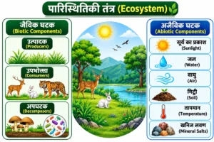 पारिस्थितिकी (Ecology) के पारिस्थितिकी तंत्र (Ecosystem) diagram में जैविक घटक—उत्पादक, उपभोक्ता और अपघटक तथा अजैविक घटक—सूर्य का प्रकाश, जल, वायु, मिट्टी, तापमान और खनिज लवण दिखाए गए हैं।