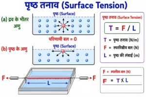 पदार्थ के गुण (Properties of Matter) के अंतर्गत पृष्ठ तनाव (Surface Tension) का शैक्षिक चित्र, जिसमें द्रव की सतह, सतह के अणु, अंतराअणुक आकर्षण बल और परिणामी बल को स्पष्ट लेबल के साथ दर्शाया गया है।