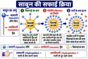 कार्बन एवं उसके यौगिक (Carbon and its Compounds) अध्याय का NCERT शैली चित्र, जिसमें साबुन के जलरागी शीर्ष एवं जलविरागी पूँछ द्वारा चिकनाई के कण के चारों ओर माइसेल बनाकर उसे पानी के साथ हटाने की प्रक्रिया दर्शाई गई है। जिसमें साबुन के अणुओं द्वारा चिकनाई के कण के चारों ओर माइसेल (Micelle) का निर्माण दर्शाया गया है।
